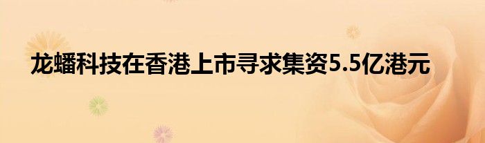 龙蟠科技在香港上市寻求集资5.5亿港元