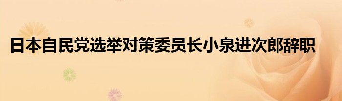 日本自民党选举对策委员长小泉进次郎辞职