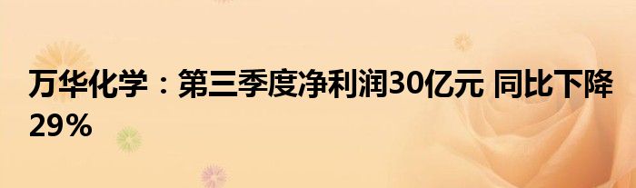 万华化学：第三季度净利润30亿元 同比下降29%