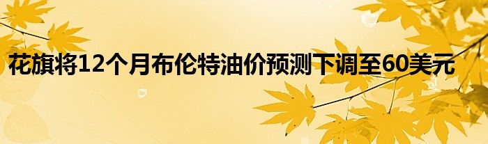 花旗将12个月布伦特油价预测下调至60美元