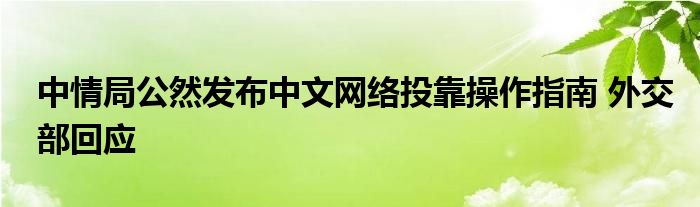 中情局公然发布中文网络投靠操作指南 外交部回应