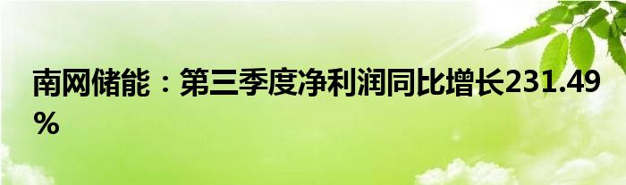 南网储能：第三季度净利润同比增长231.49%