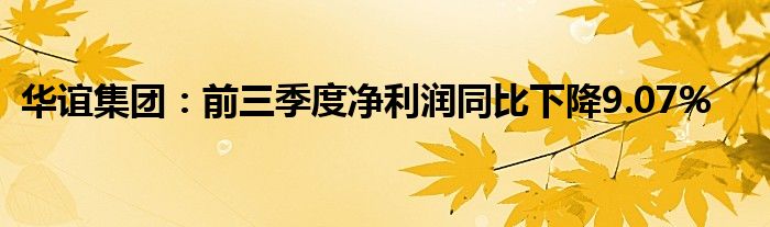 华谊集团：前三季度净利润同比下降9.07%