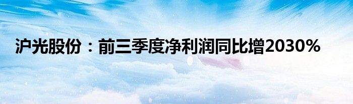 沪光股份:前三季度净利润同比增2030%