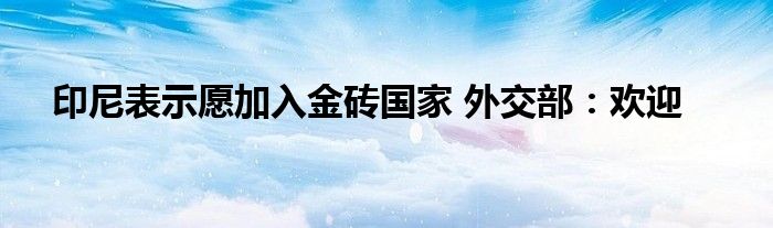 印尼表示愿加入金砖国家 外交部:欢迎