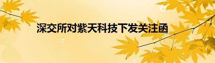 深交所对紫天科技下发关注函