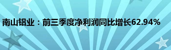 南山铝业：前三季度净利润同比增长62.94%