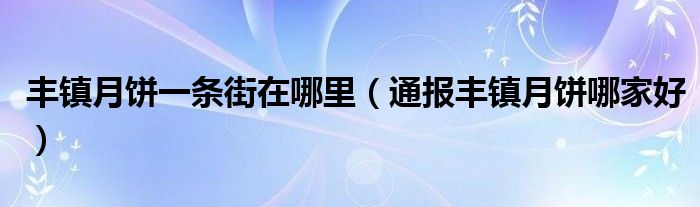 丰镇月饼一条街在哪里(通报丰镇月饼哪家好)
