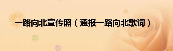 一路向北宣传照(通报一路向北歌词)