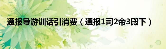 通报导游训话引消费(通报1司2帝3殿下)