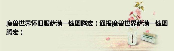 魔兽世界怀旧服萨满一键图腾宏(通报魔兽世界萨满一键图腾宏)