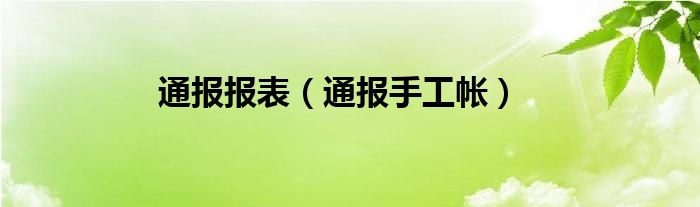 通报报表（通报手工帐）