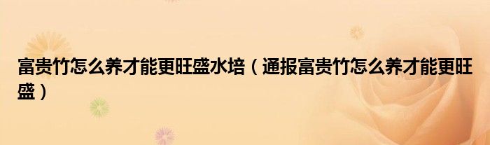 富贵竹怎么养才能更旺盛水培(通报富贵竹怎么养才能更旺盛)
