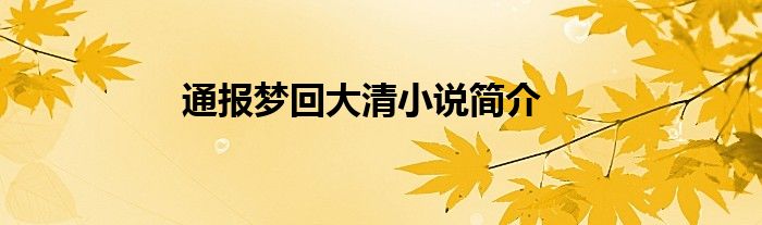 通报梦回大清小说简介