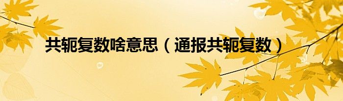 共轭复数啥意思(通报共轭复数)