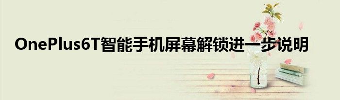 OnePlus6T智能手机屏幕解锁进一步说明