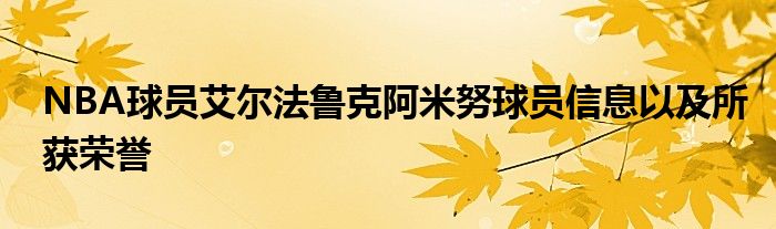 NBA球员艾尔法鲁克阿米努球员信息以及所获荣誉