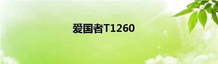爱国者T1260