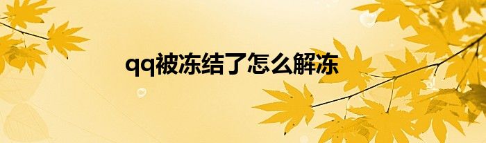 qq被冻结了怎么解冻