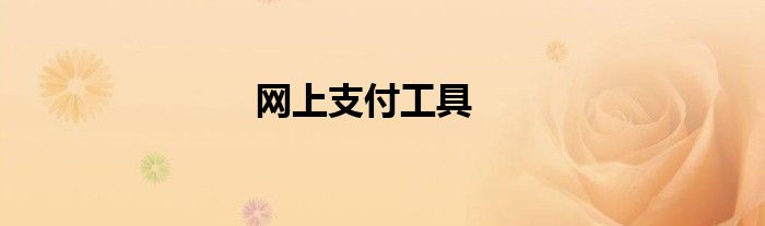 网上支付工具